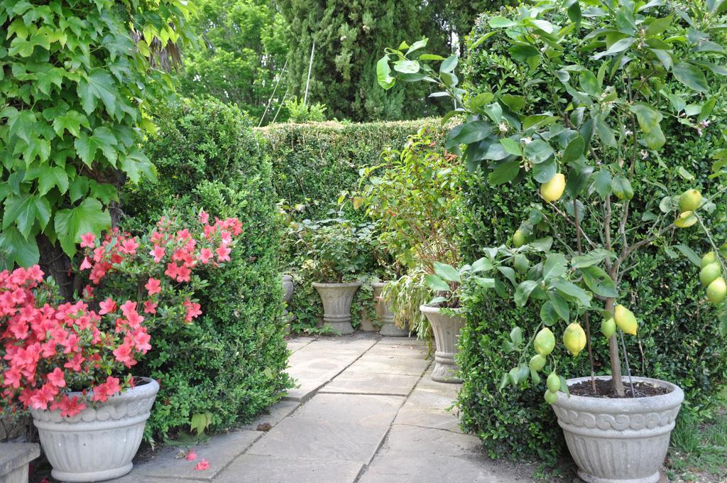 Bed and Breakfast Domaine De Paguy Betbezer Zimmer foto